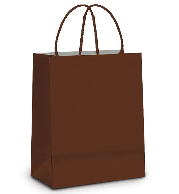 Sacola de papel Marrom 22x15x6cm c/10und