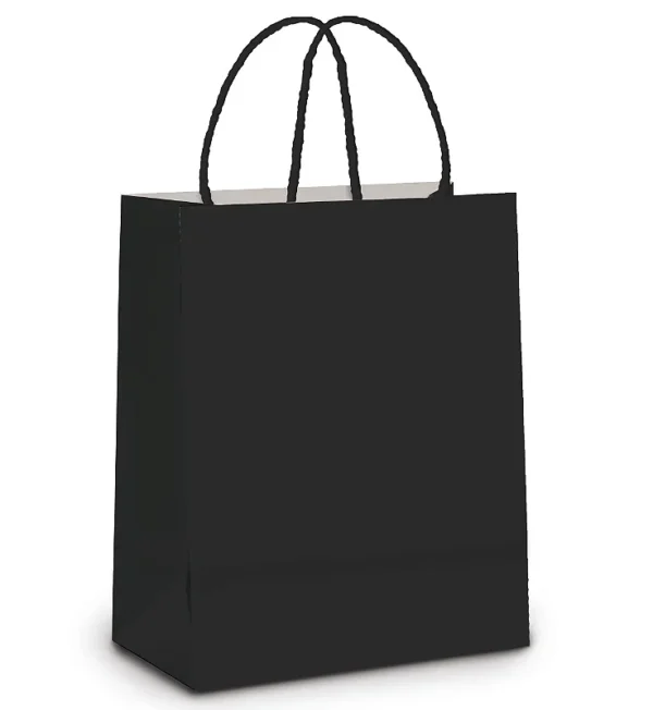 Sacola de papel Preta 22x15x6cm c/10und